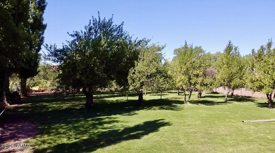 Orchard