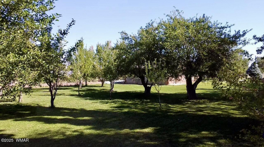 Orchard