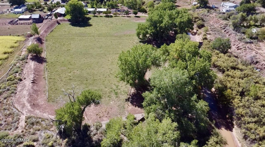 Field
