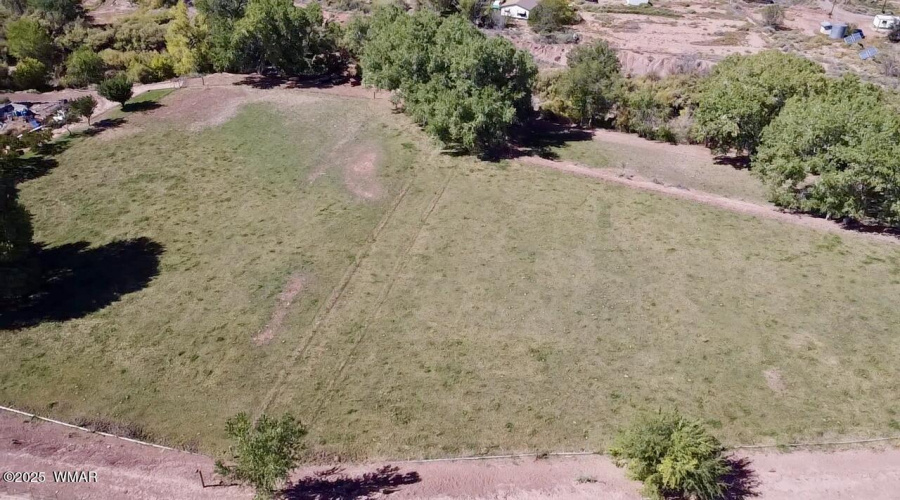 Field