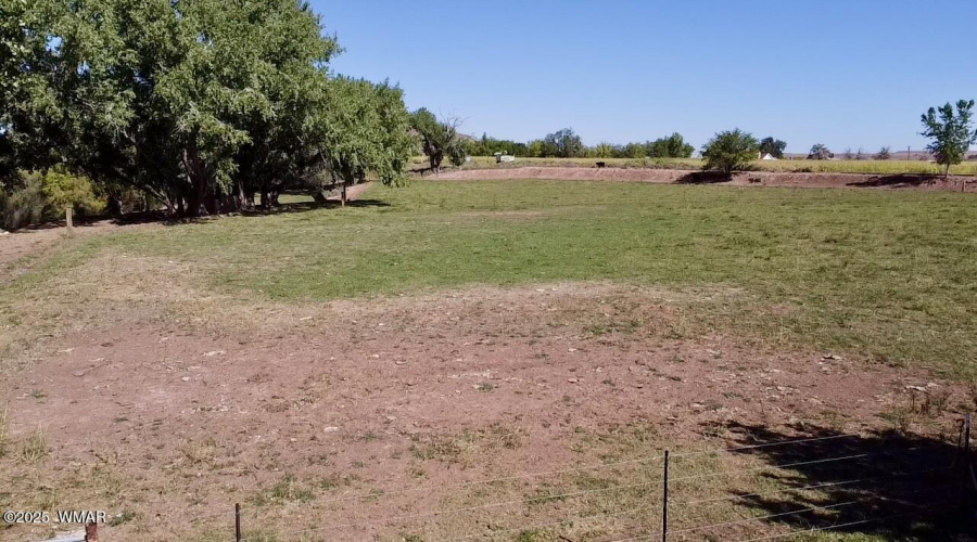 Field