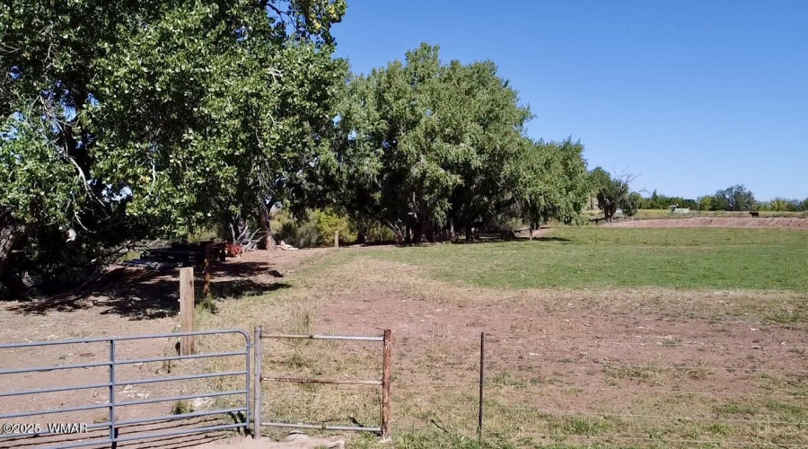 Field