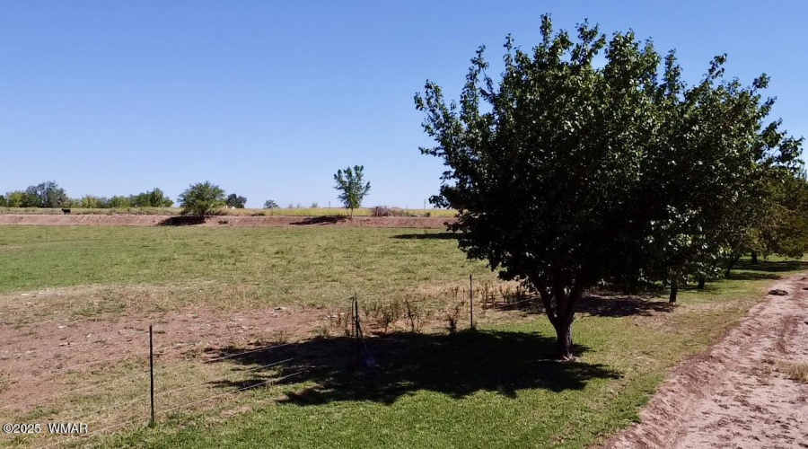 Field