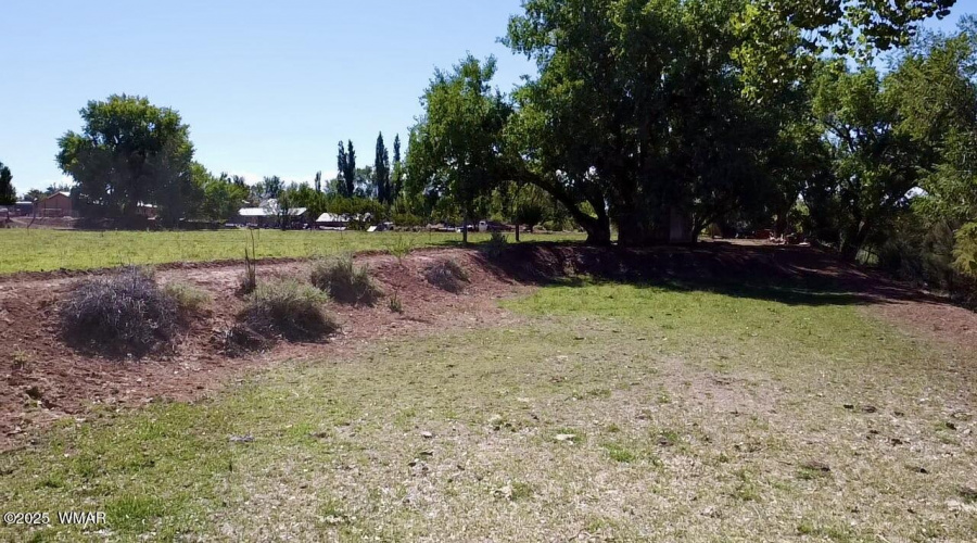 Field