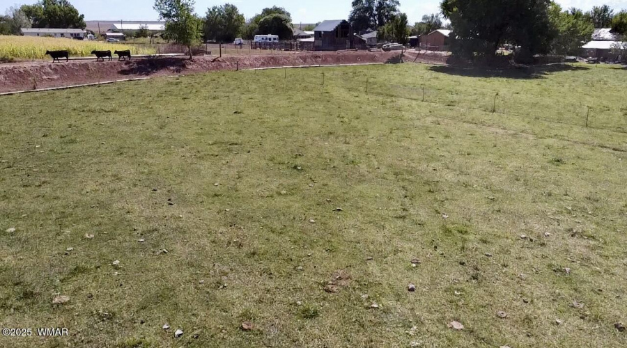 Field