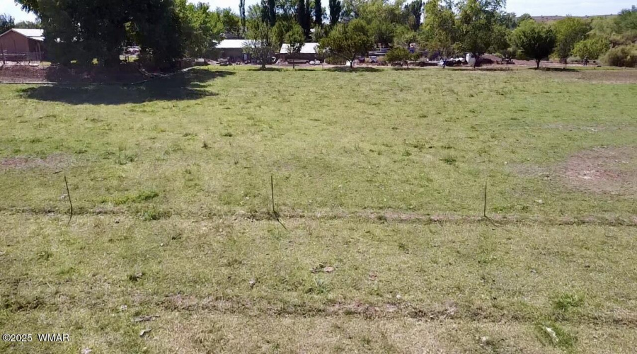 Field