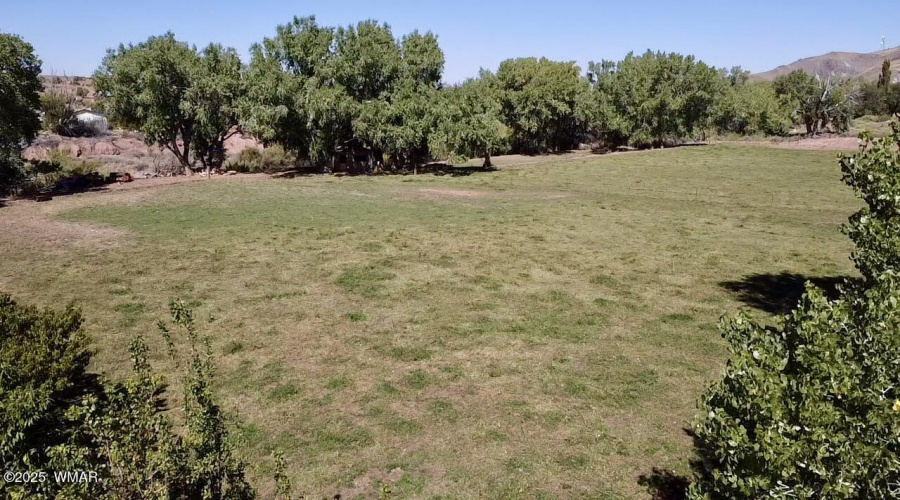 Field
