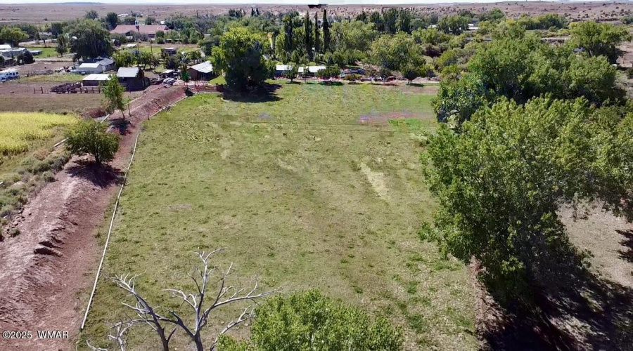 Field