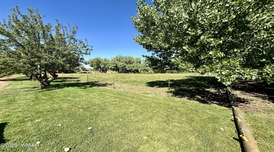 Orchard