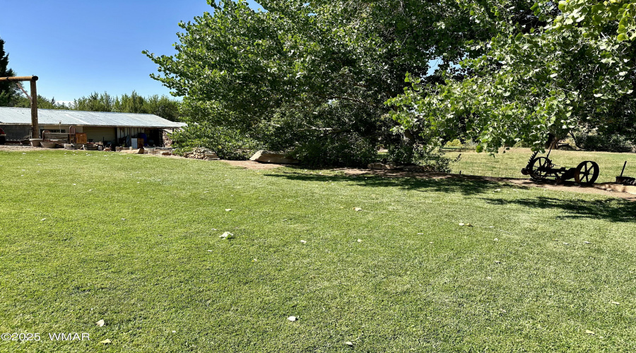 Field