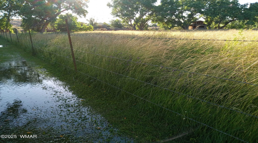 Irrigation