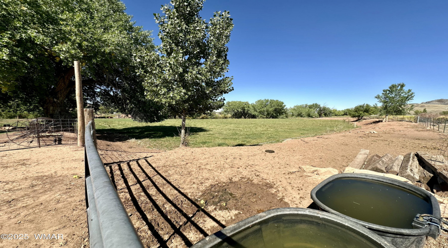 Field
