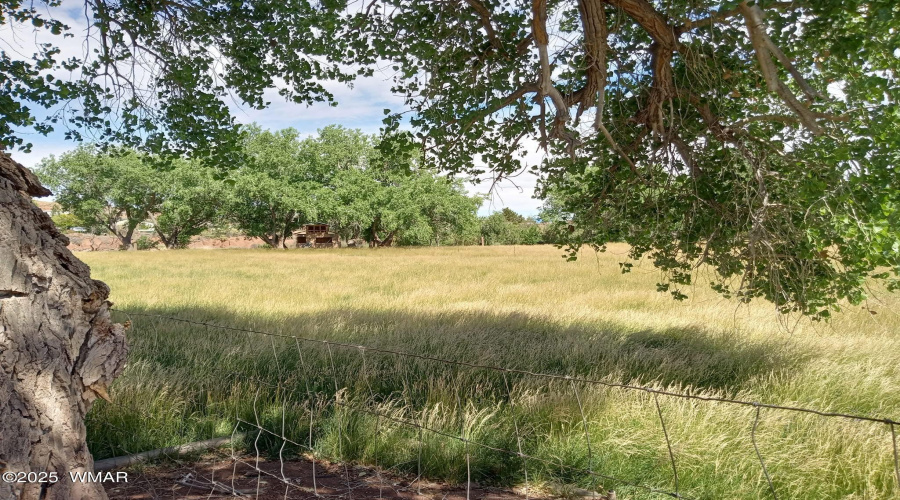 Field
