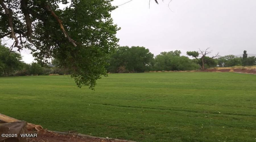 Field