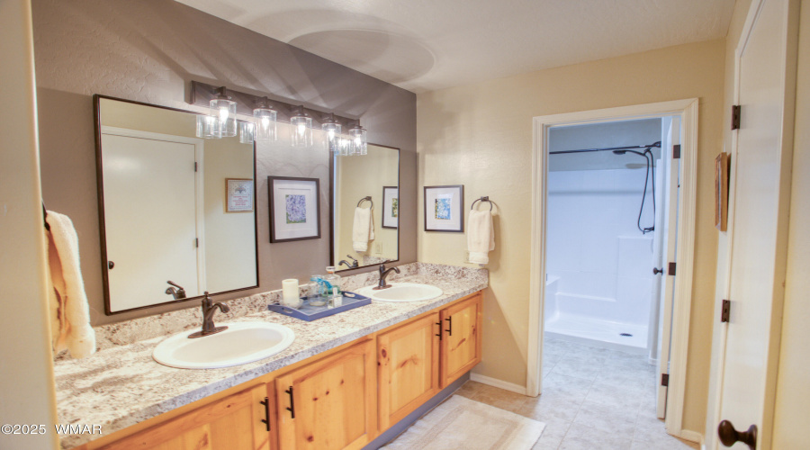 Lower Level Primary Bathroom