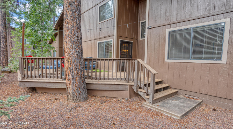 Exterior Back Deck