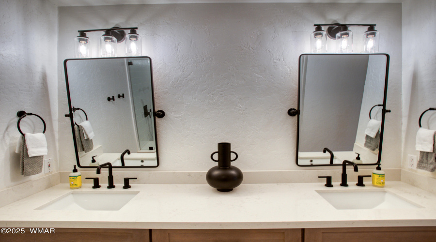 Primary Mirrors