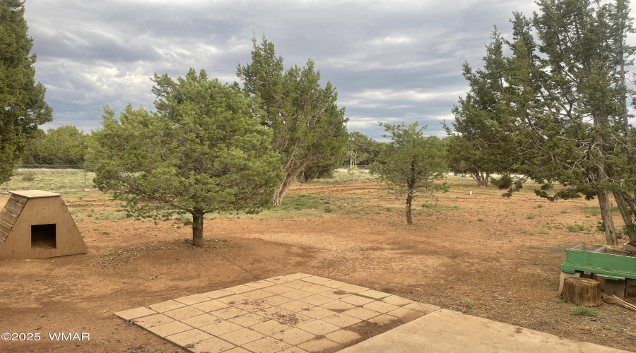 Fenced Room to Roam