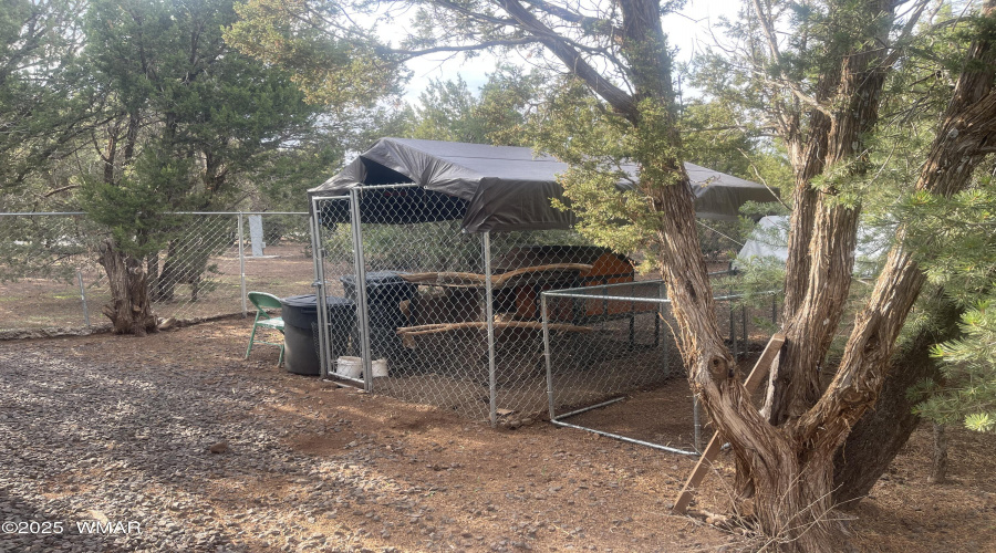 Chicken Coop