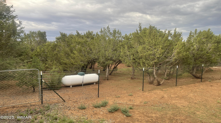 Large Fenced Chicken Yard