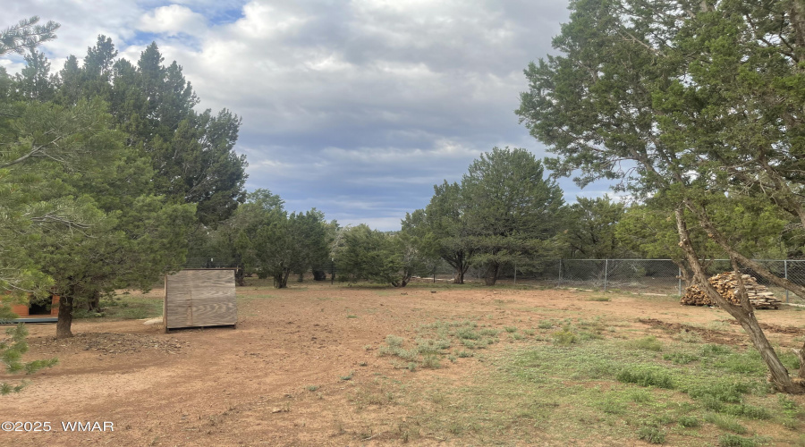 Fenced Room to Roam