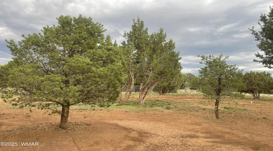 Wooded Property