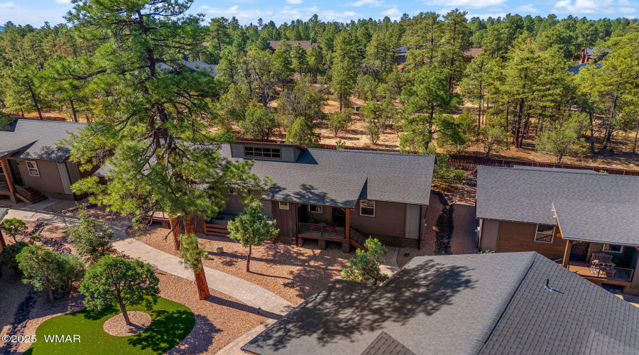 Nestled in the pines