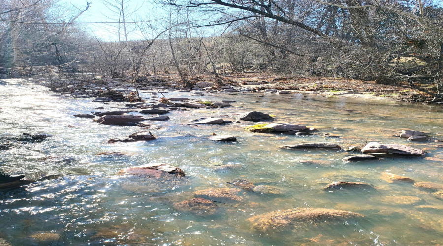 Gordon Creek Downstream in Winter