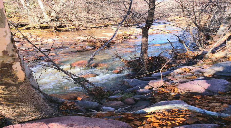 Gordon Creek Flowing in Winter