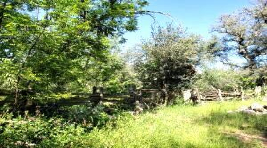 Homestead Fence