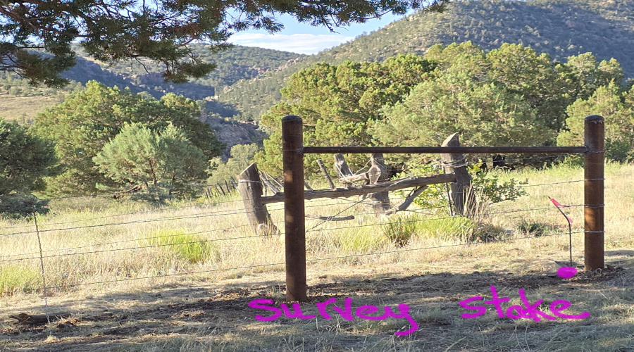 Wire Fence New N Boundary on Mesa