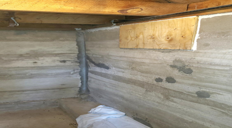 Cellar Walls