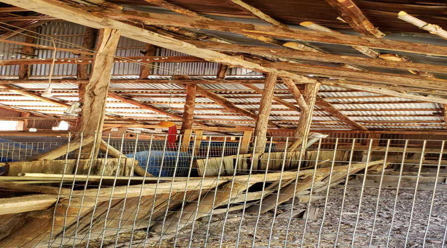 Barn Framing & Manger