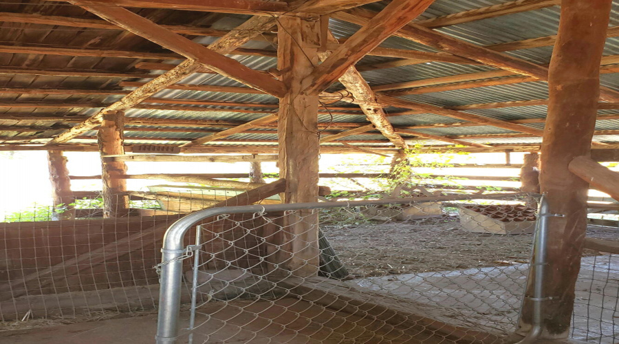 Barn Framing NW corner
