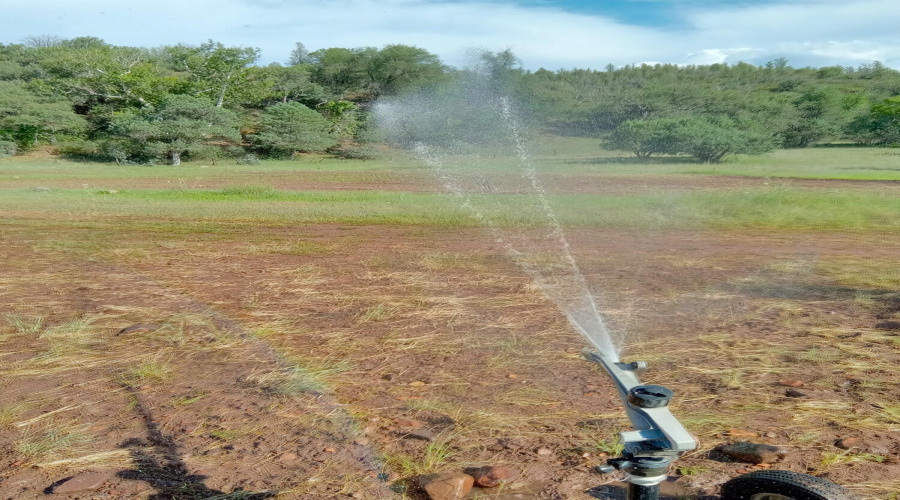 Irrigating E Pasture S end