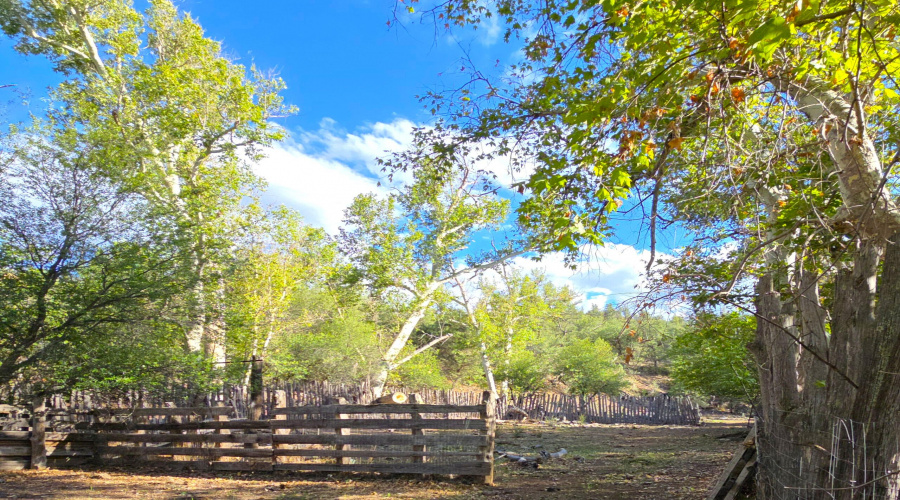 Corral Southernmost