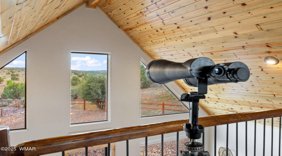 LOOKING OUT FROM THE LOFT