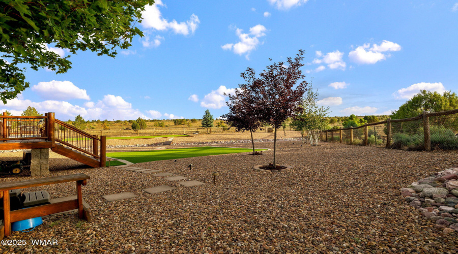 BACK YARD