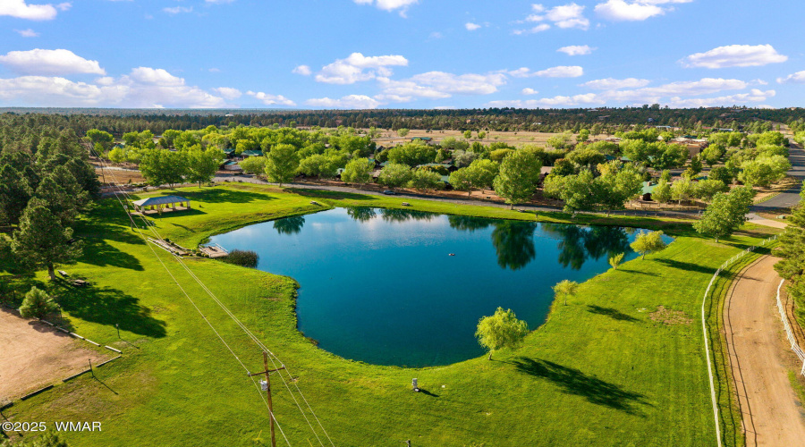 POND AT THE PARK