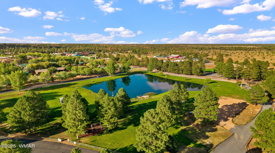 AERIAL VIEW OF THE PARK