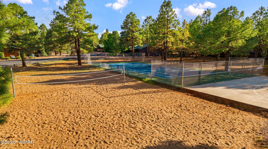 VOLLEYBALL