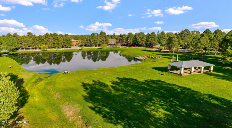 AERIAL VIEW OF THE PARK