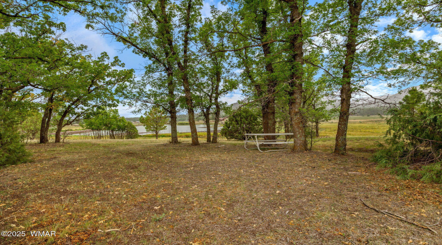 2CountyRd2169-Nutrioso-AZ-5