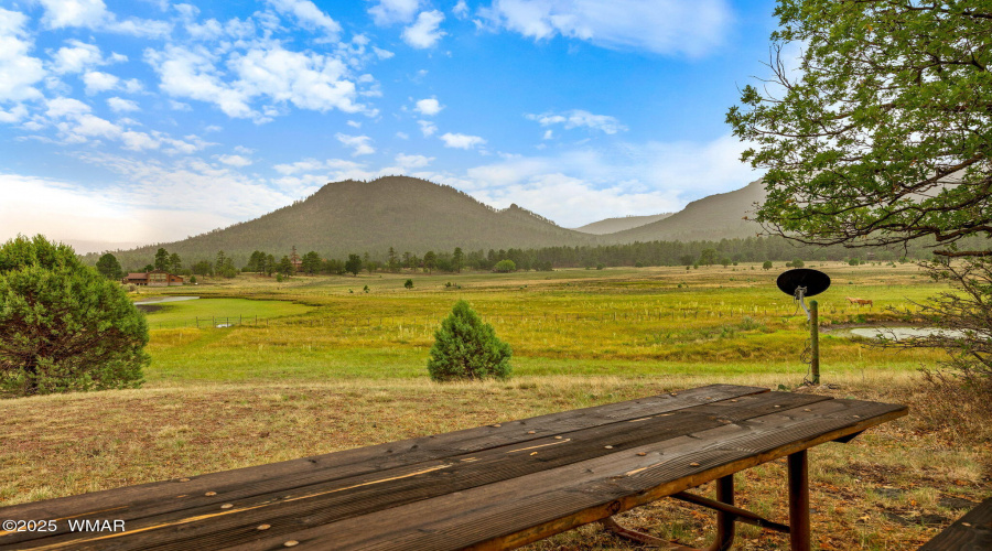 2CountyRd2169-Nutrioso-AZ-9