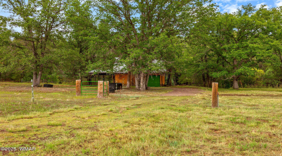 2CountyRd2169-Nutrioso-AZ-36