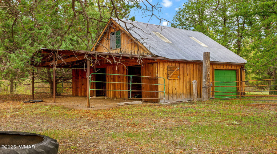 2CountyRd2169-Nutrioso-AZ-37