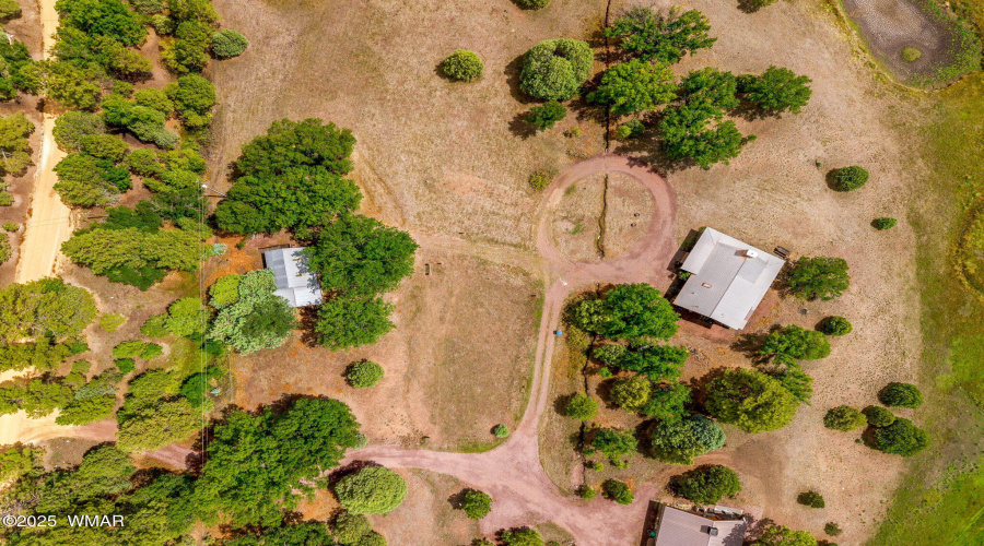 2CountyRd2169-Nutrioso-AZ-41