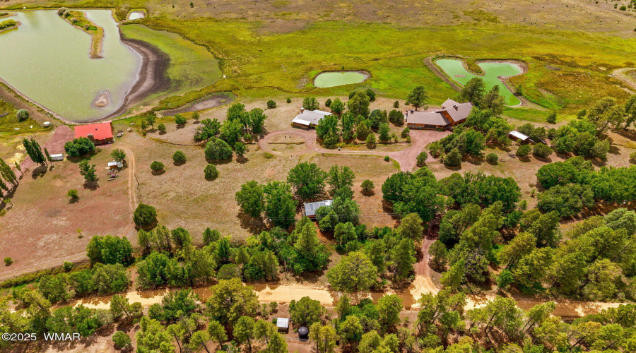 2CountyRd2169-Nutrioso-AZ-42