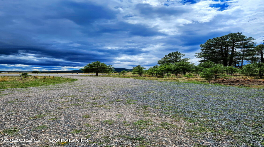 20250816_121556-EDIT