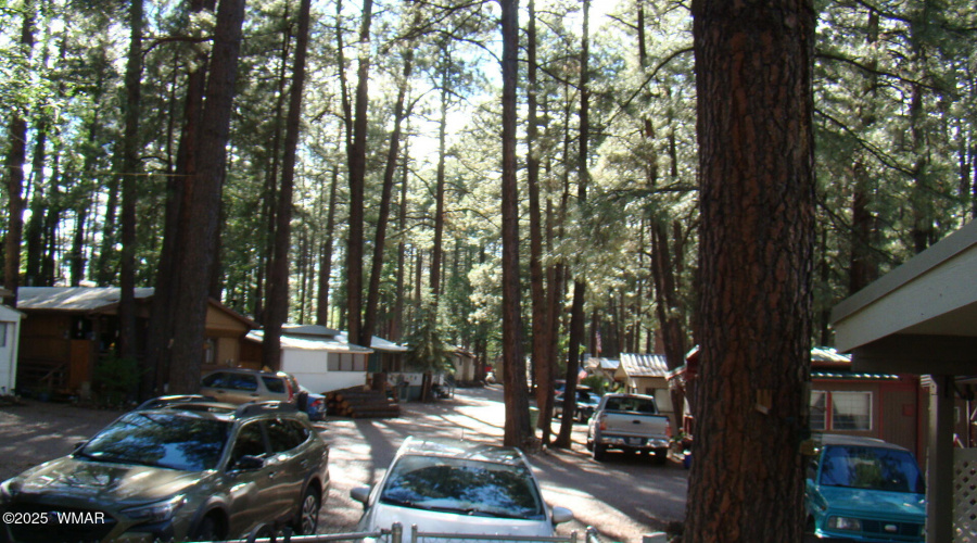 Holiday Forest Park